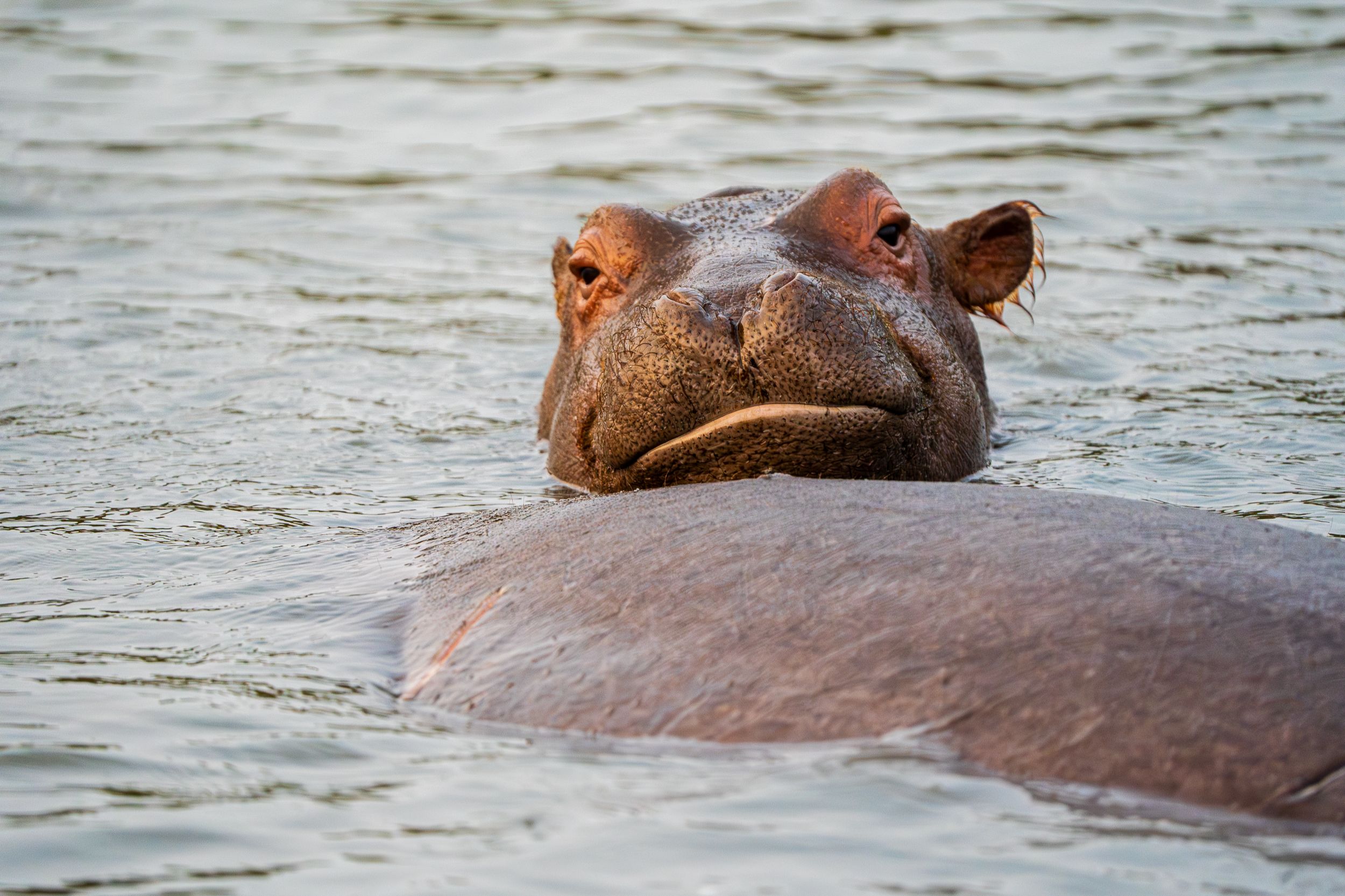 20230924 171929 Fotobuch Südafrika  10